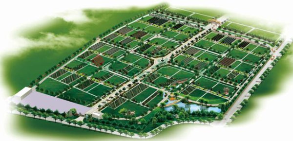 首页|3499拉斯维加斯集团官方网站
