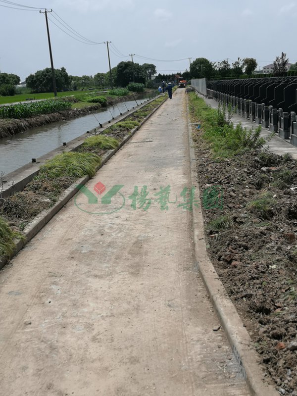 1-220212161542296 首页|3499拉斯维加斯集团官方网站