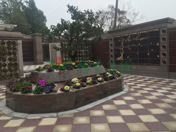 首页|3499拉斯维加斯集团官方网站