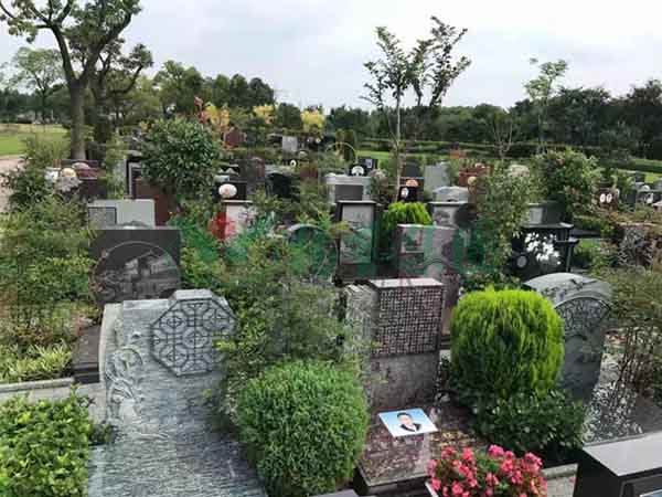 首页|3499拉斯维加斯集团官方网站