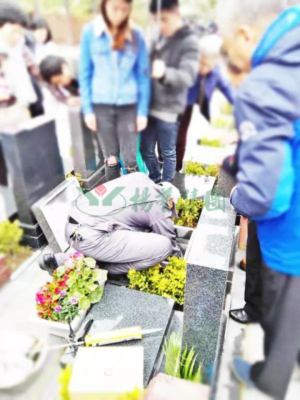 1-2112241339314D 首页|3499拉斯维加斯集团官方网站