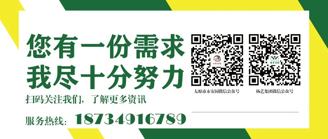 首页|3499拉斯维加斯集团官方网站