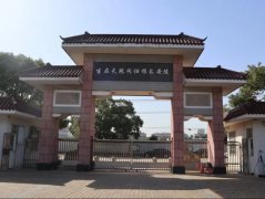 微刷新，为老墓园增添一抹新“绿”
