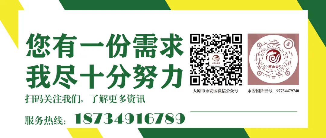1-24062210001Dc 首页|3499拉斯维加斯集团官方网站