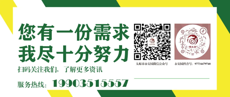 1-2409120ZI9327 首页|3499拉斯维加斯集团官方网站