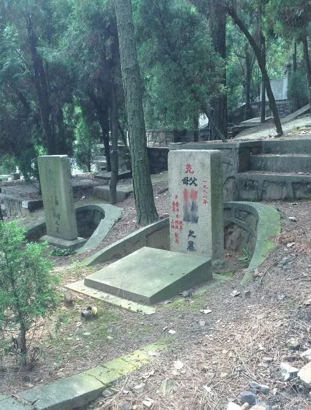 首页|3499拉斯维加斯集团官方网站