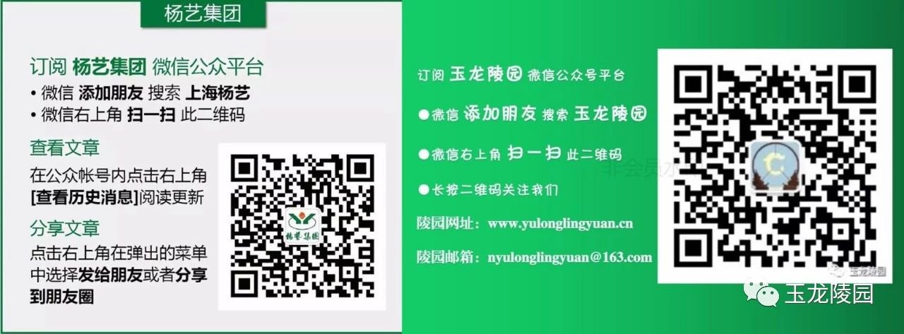 首页|3499拉斯维加斯集团官方网站