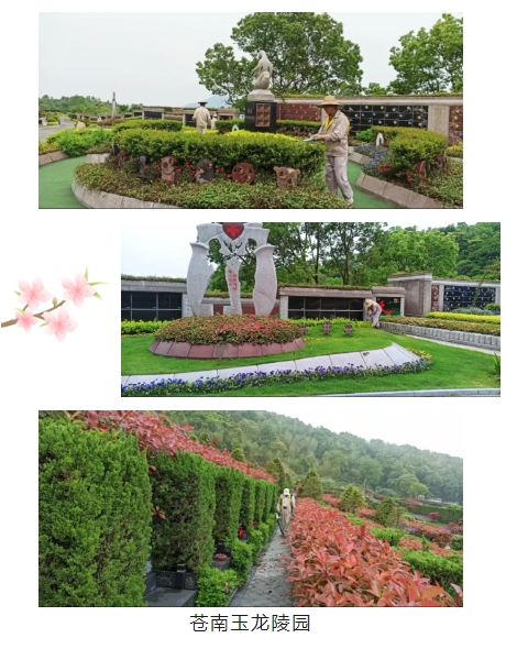 1-250505093941911 首页|3499拉斯维加斯集团官方网站