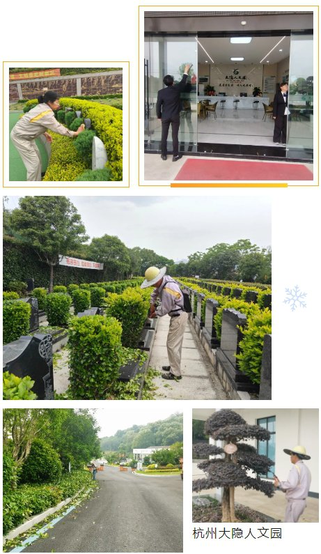 1-250505093S2264 首页|3499拉斯维加斯集团官方网站