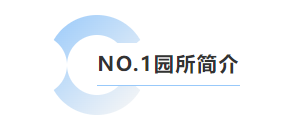 1-25052G106193a 首页|3499拉斯维加斯集团官方网站