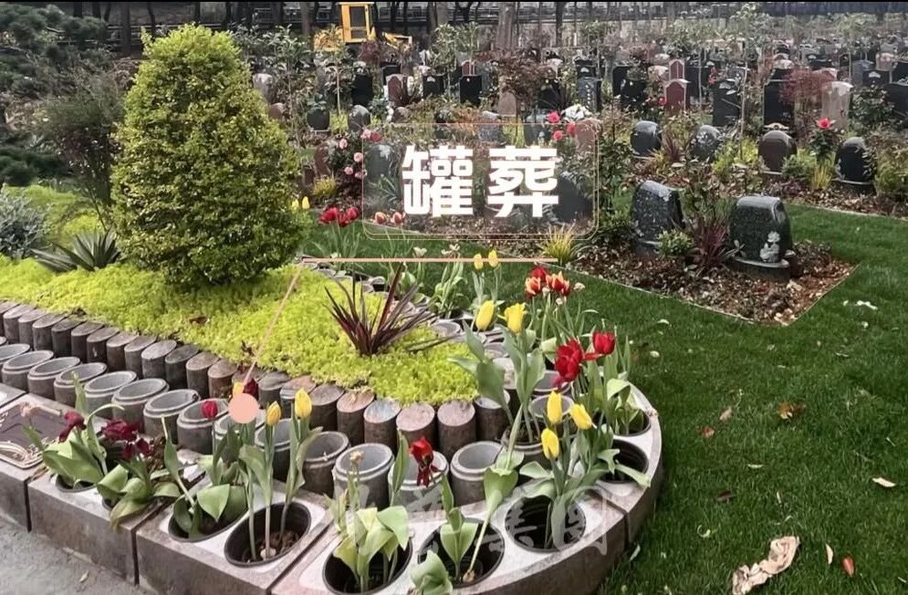 1-26052115062L00 首页|3499拉斯维加斯集团官方网站