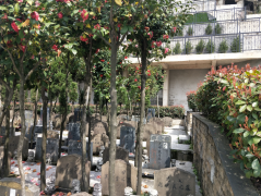 微改造，大情怀——老墓园规划设计的温度与智慧